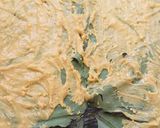 A picture of step 2 of Arrow Roots (Nduma)Leaves bhajiya#authors marathon.