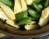 Foto langkah ke 2 dari resep Sayur Lodeh Campur.