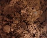 A picture of step 4 of Oreo Chocolate Cake.