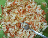 Foto del paso 3 de la receta: Ensalada de col y manzana