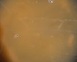 A picture of step 14 of Orange curd eggless tart.