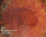 A picture of step 3 of Tomato baji.