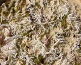 Foto del paso 8 de la receta: Quiche de puerro