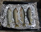 鹽烤香魚的食譜步驟2照片
