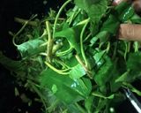 Foto langkah ke 4 dari resep Tumis Kangkung Bunga Pepaya.