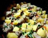 Pas rețetă Carne de curcan cu cartofi înnăbușiți în sos de iaurt 3 fotografie