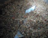 A picture of step 7 of OLIVE PICKLE (JOLPAI ACHAR) without garlic.