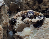 Foto del paso 6 de la receta: Budín de manzanas y pasas, integral y vegano