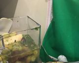 Foto del paso 1 de la receta: Batido Verde con Maca (smoothie)