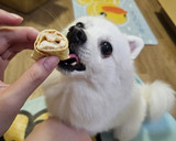 狗狗鮮食～點心，虱目魚蛋捲的食譜步驟10照片