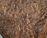 A picture of step 16 of Chocolate fudge brownies.