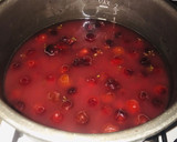 Foto del paso 1 de la receta: Vino o licor de cranberry’s