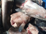 Fish sauces