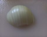 Foto del paso 3 de la receta: 222. Caldeirada de merluza