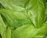 ગ્રીન ભાજીપાઉઁ (Green Bhajipav Recipe In Gujarati) રેસીપી સ્ટેપ2ફોટો