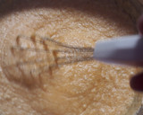 Foto del paso 9 de la receta: Soufflé de Calabaza