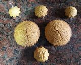 Foto del paso 6 de la receta: Minitartas integrales de ricota