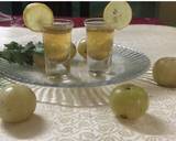 Weight loss immunity booster amla ginger shots recipe step 3 photo