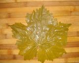 A picture of step 6 of Stuffed vine leaves rolls (Dolmeh).
