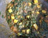 મેજિક મસાલા પાલક (Magic Masala Palak Recipe In Gujarati) રેસીપી સ્ટેપ4ફોટો