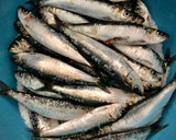 Foto del paso 1 de la receta: Sardinada