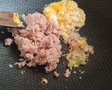 Foto langkah ke 8 dari resep Nasi Goreng Telur Dadar One Piece (versi Manga).