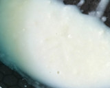 Foto del paso 3 de la receta: Proteína +Salsa Bechamel