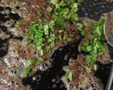 Foto del paso 3 de la receta Arroz negro 2