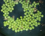 A picture of step 3 of #Green pea Stuff Bread kochori.