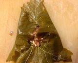عکس مرحله 4 از دستور دلمه برگ مو لبنانی (ورق عنب -wara anab)