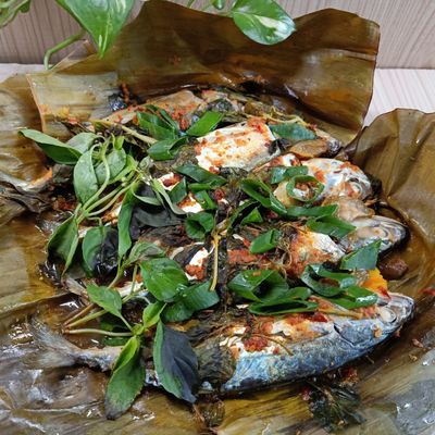 Langkah 7