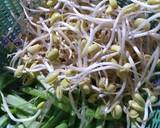 Cara Membuat Urap Sayur Base Genep 1