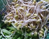 Foto langkah ke 1 dari resep Urap Sayur Base Genep.