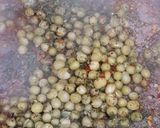 Foto del paso 3 de la receta: Peceto con arroz blanco