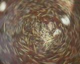 Foto del paso 2 de la receta: Pernil
