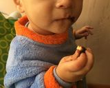Foto del paso 6 de la receta Mini-quesos de burgos cubiertos de chocolate sin azúcar BLW (+9 M)