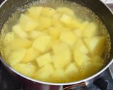 Foto langkah ke 1 dari resep Mashed Potato with Garlic Chicken.