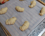 Foto del paso 8 de la receta: Medialunas