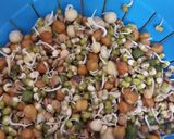 A picture of step 1 of Mixed sprouts kabab.