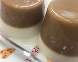 超簡單手作異國甜點►越南果凍的食譜步驟7照片