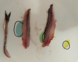 Foto del paso 7 de la receta: Boquerones en vinagre