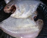 Hình bước làm 1 của món Cá chim chiên chấm mắm ngò
