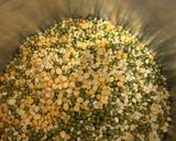 A picture of step 2 of Proso millet dosa.