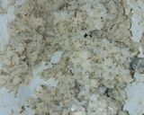 Foto del paso 1 de la receta: Torrejitas de arroz