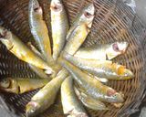 বাটা মাছ ভাজা(bata mach bhaja recipe in Bengali) রেসিপি ধাপ - 2 ছবি