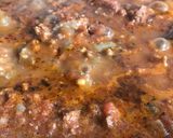Foto del paso 2 de la receta: Moussaka