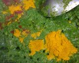 A picture of step 3 of Green fish.