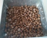 Foto langkah ke 5 dari resep Boba Brown Sugar.