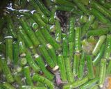 Foto langkah ke 5 dari resep Sayur lodeh kacang panjang.