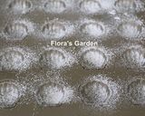 簡單完美●檸檬蜂蜜瑪德蓮蛋糕的食譜步驟6照片